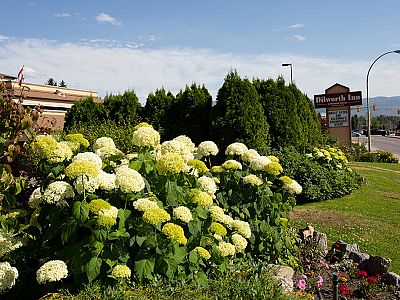  Our Gardens